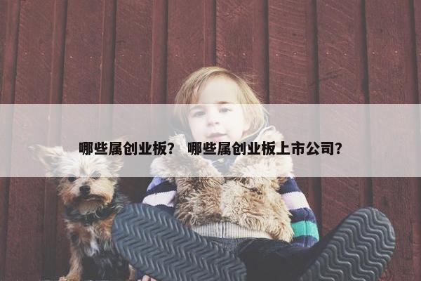 哪些属创业板？ 哪些属创业板上市公司？