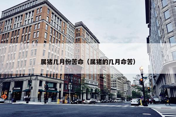属猪几月份苦命（属猪的几月命苦）