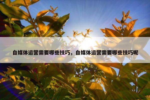 自媒体运营需要哪些技巧，自媒体运营需要哪些技巧呢