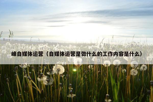 峰自媒体运营（自媒体运营是做什么的工作内容是什么）