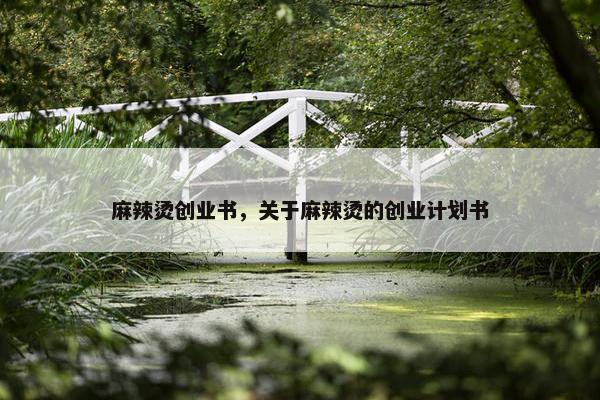 麻辣烫创业书，关于麻辣烫的创业计划书
