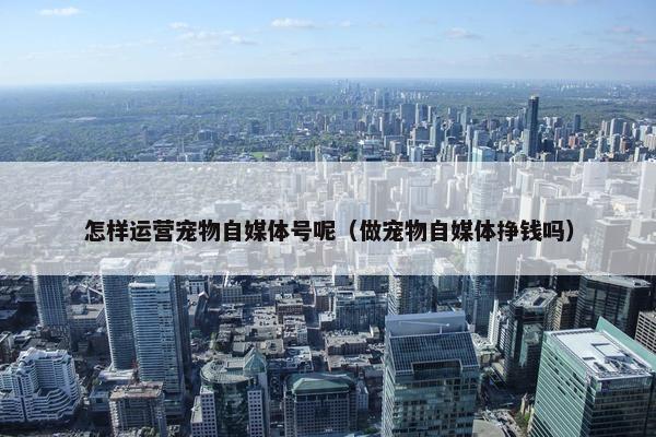怎样运营宠物自媒体号呢（做宠物自媒体挣钱吗）