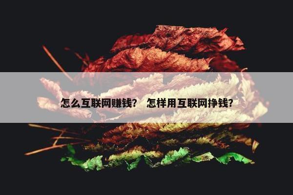 怎么互联网赚钱？ 怎样用互联网挣钱？