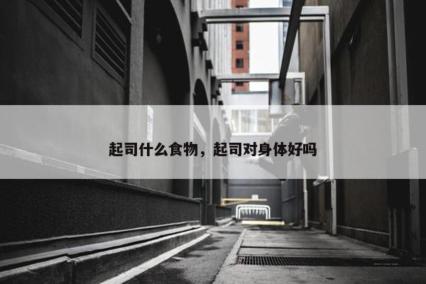 起司什么食物，起司对身体好吗