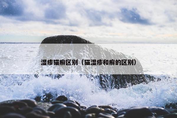 湿疹猫癣区别（猫湿疹和癣的区别）