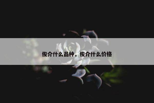 俊介什么品种，俊介什么价格