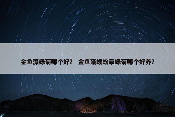 金鱼藻绿菊哪个好？ 金鱼藻蜈蚣草绿菊哪个好养？
