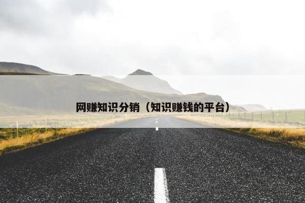 网赚知识分销（知识赚钱的平台）