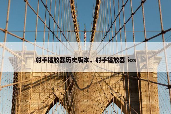 射手播放器历史版本，射手播放器 ios