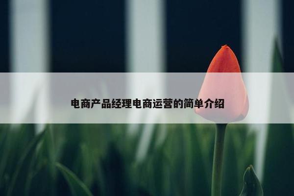 电商产品经理电商运营的简单介绍