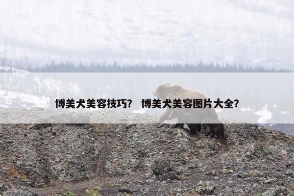 博美犬美容技巧？ 博美犬美容图片大全？