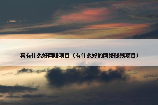 真有什么好网赚项目（有什么好的网络赚钱项目）