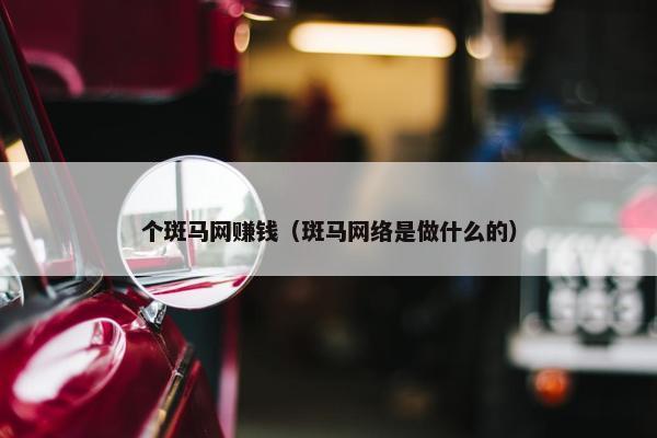 个斑马网赚钱（斑马网络是做什么的）