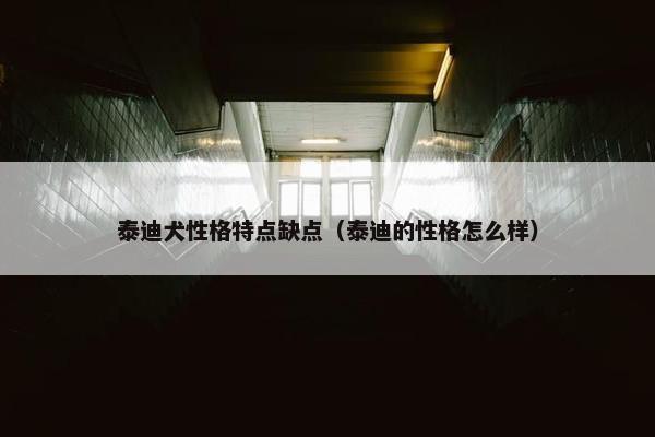 泰迪犬性格特点缺点（泰迪的性格怎么样）