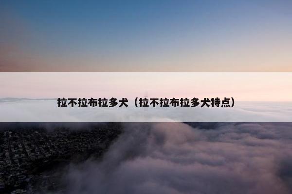 拉不拉布拉多犬（拉不拉布拉多犬特点）