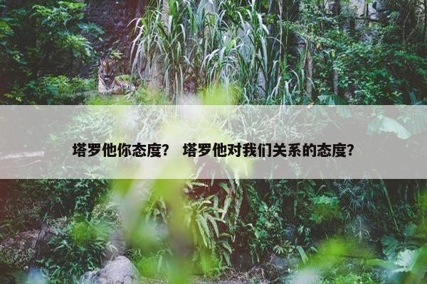 塔罗他你态度？ 塔罗他对我们关系的态度？