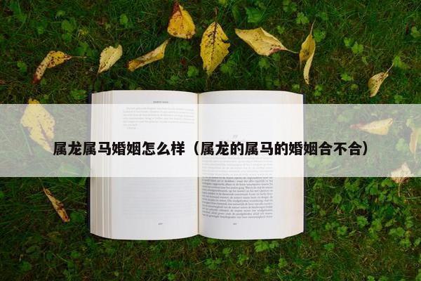 属龙属马婚姻怎么样（属龙的属马的婚姻合不合）