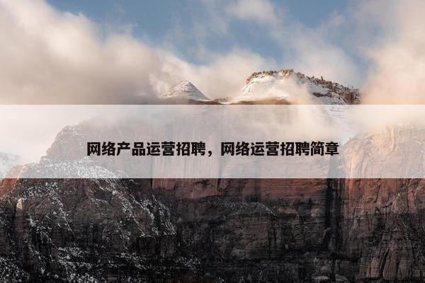 网络产品运营招聘，网络运营招聘简章