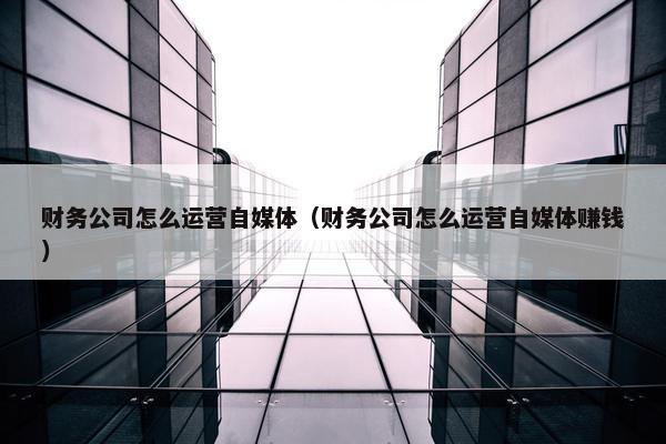 财务公司怎么运营自媒体（财务公司怎么运营自媒体赚钱）
