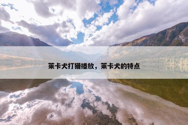 莱卡犬打猎播放，莱卡犬的特点