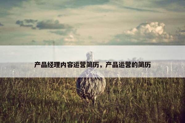 产品经理内容运营简历，产品运营的简历