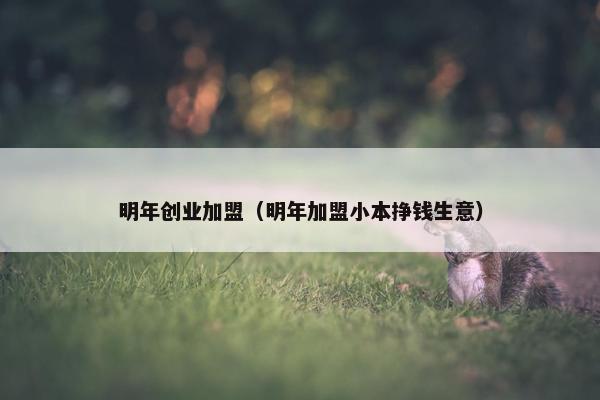 明年创业加盟（明年加盟小本挣钱生意）
