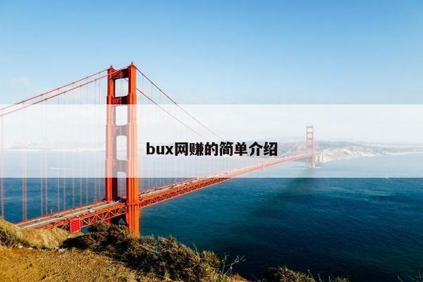bux网赚的简单介绍