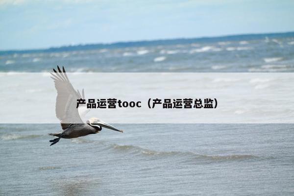 产品运营tooc（产品运营总监）