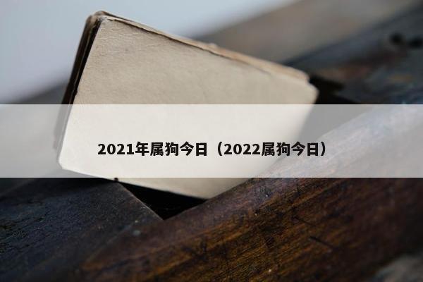 2021年属狗今日（2022属狗今日）