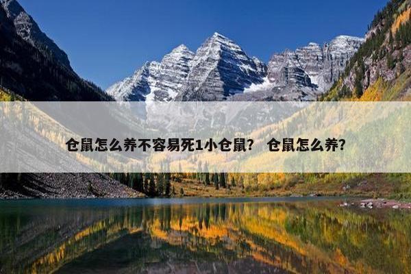 仓鼠怎么养不容易死1小仓鼠？ 仓鼠怎么养？