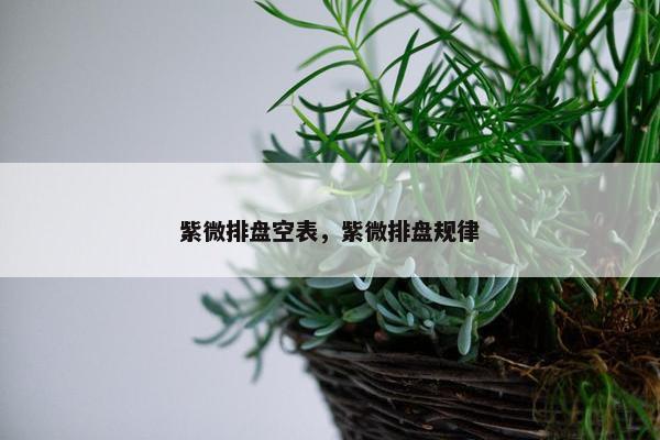紫微排盘空表，紫微排盘规律