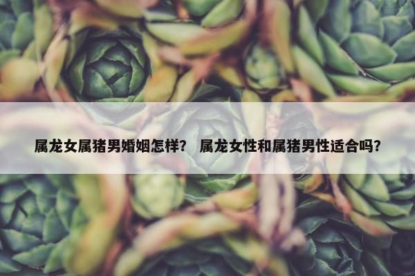 属龙女属猪男婚姻怎样？ 属龙女性和属猪男性适合吗？