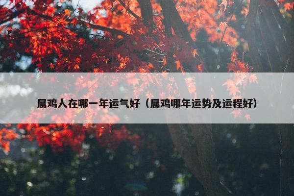 属鸡人在哪一年运气好（属鸡哪年运势及运程好）
