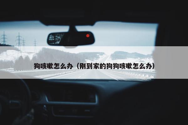 狗咳嗽怎么办（刚到家的狗狗咳嗽怎么办）