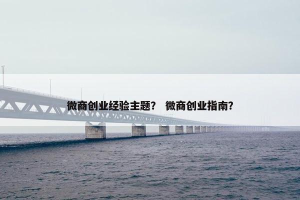微商创业经验主题？ 微商创业指南？