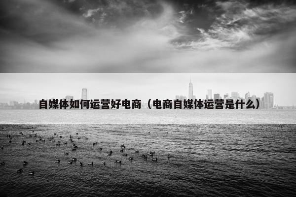 自媒体如何运营好电商（电商自媒体运营是什么）
