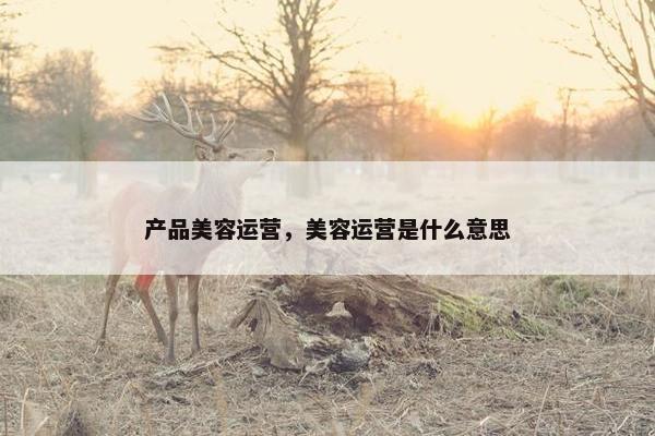 产品美容运营，美容运营是什么意思