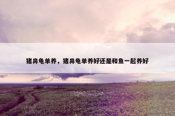 猪鼻龟单养，猪鼻龟单养好还是和鱼一起养好