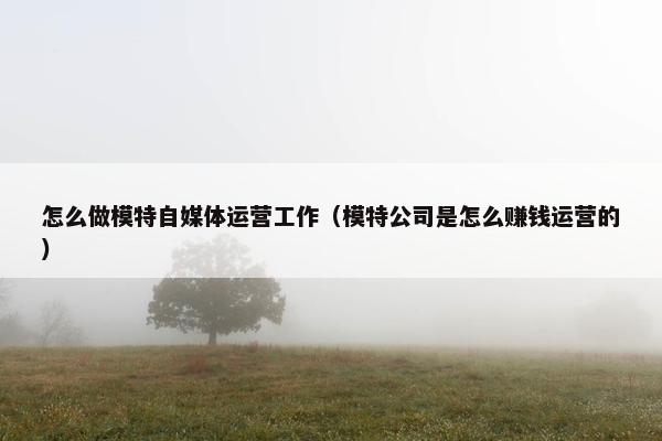 怎么做模特自媒体运营工作（模特公司是怎么赚钱运营的）