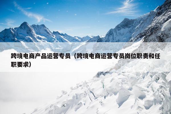 跨境电商产品运营专员（跨境电商运营专员岗位职责和任职要求）
