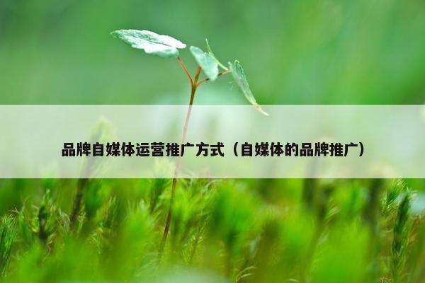 品牌自媒体运营推广方式（自媒体的品牌推广）