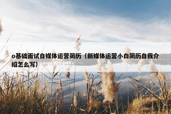 o基础面试自媒体运营简历（新媒体运营小白简历自我介绍怎么写）