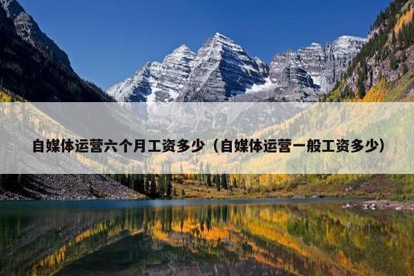 自媒体运营六个月工资多少（自媒体运营一般工资多少）