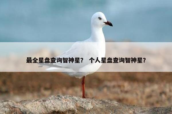 最全星盘查询智神星？ 个人星盘查询智神星？