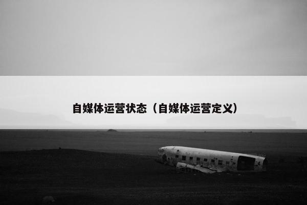 自媒体运营状态（自媒体运营定义）