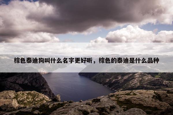 棕色泰迪狗叫什么名字更好听，棕色的泰迪是什么品种