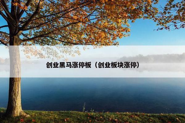 创业黑马涨停板（创业板块涨停）