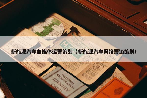 新能源汽车自媒体运营策划（新能源汽车网络营销策划）