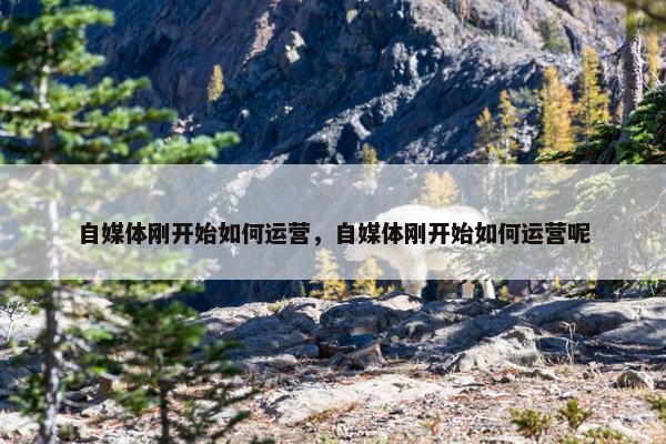 自媒体刚开始如何运营，自媒体刚开始如何运营呢