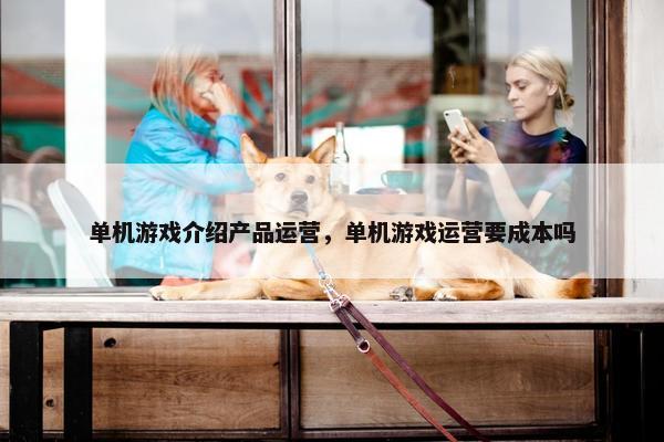 单机游戏介绍产品运营，单机游戏运营要成本吗